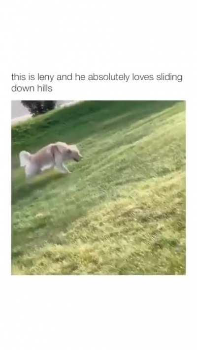 Leny loves sliding down hills.