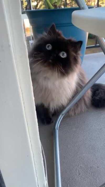 He almost thought he was stuck outside