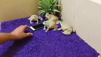 I didn’t need that phone anyway