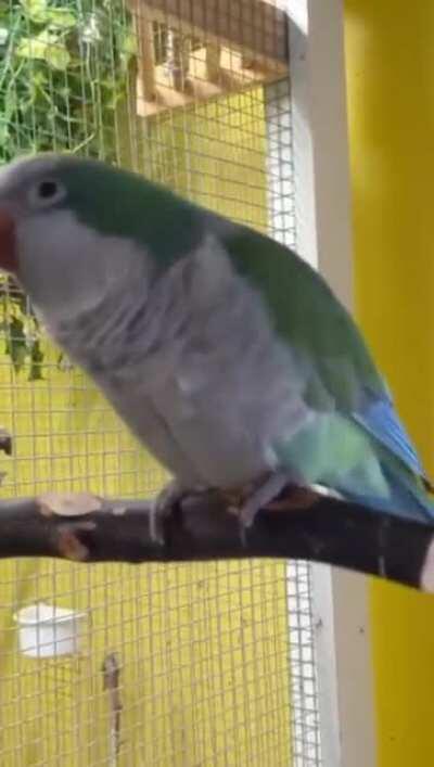 [NSFW] 2020, in a nutshell