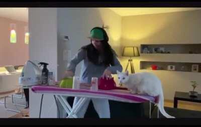 Ironing + DJing + cat...
