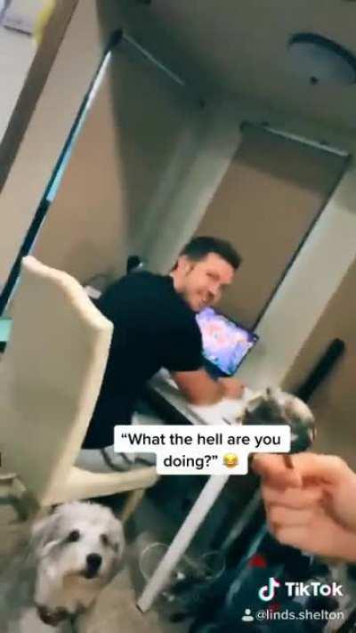 This woman's technique to cut her dog's nails is smart and funny