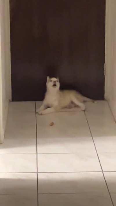 Tacoâs first song of his people: âMum Wonât Let Me Eat Mud at 12amâ