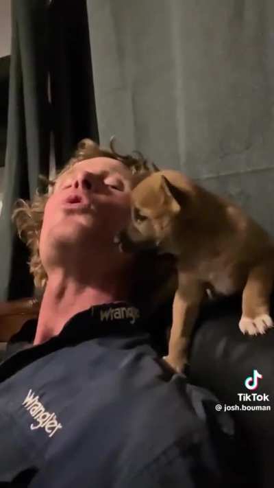 I hope the sub is still alive enough to see this tinyboi🥹