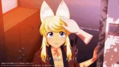 Would you pet a wolf?