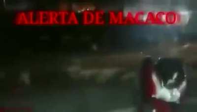 Macacor😳😳😳😳😳