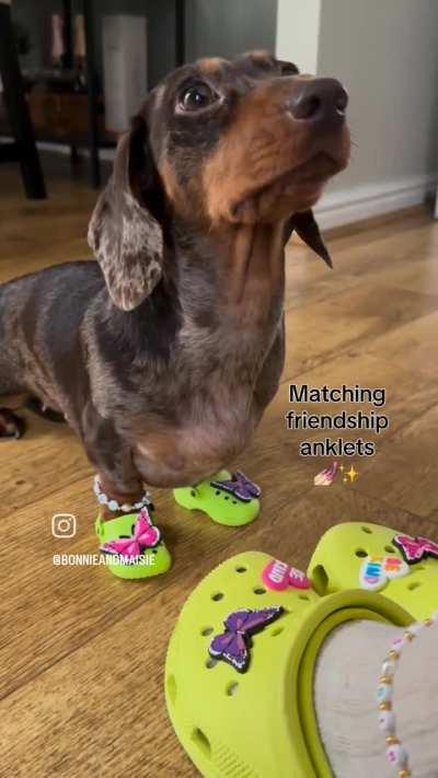 Xixa de crocs, é papai?