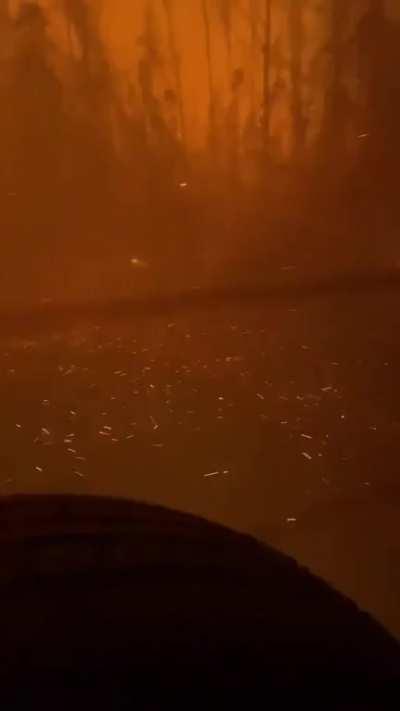 Forest fires in Chile