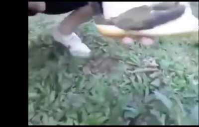 QUE PORRA E ESSA BLUESAO