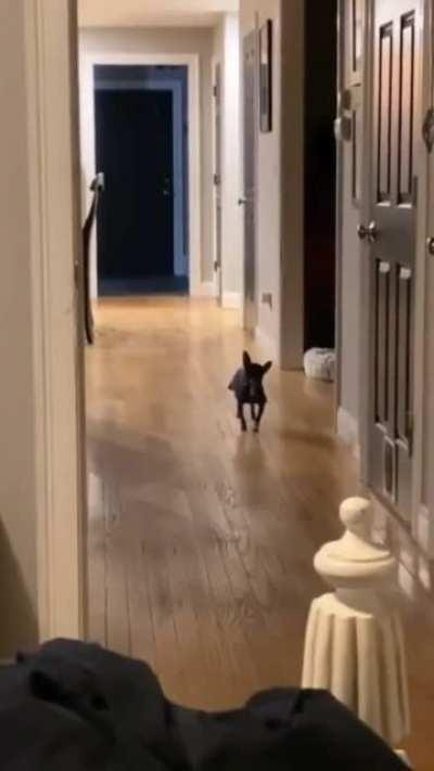 Rumba in the hallway