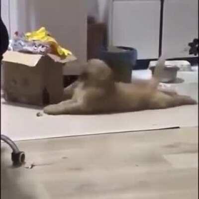 I need one in my life