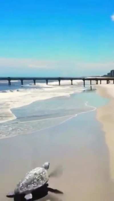 I got high as fuck one night and apparently made this. Found it the next day in my camera roll