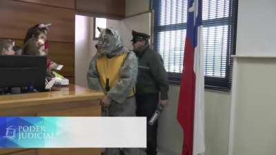 Juicio a furro en Valdivia (Chile)