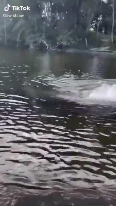 what's that moving in the water?