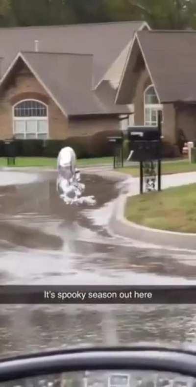 Halloween is around the corner..Happy Halloween