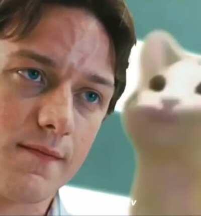 This is how you annoy people 😂