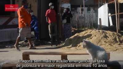 O Brasil sobreviverá ao Bolsonaro? | The Economist (sub PT-BR)