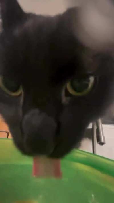 Me with the liquid of contentment and peace.