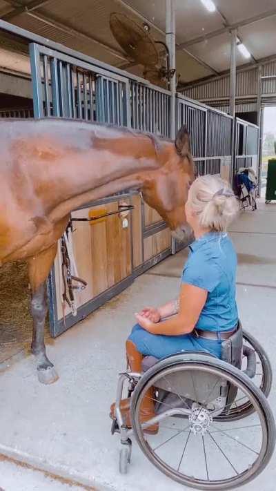 Amazed!! how animals know when humans have challenges.
