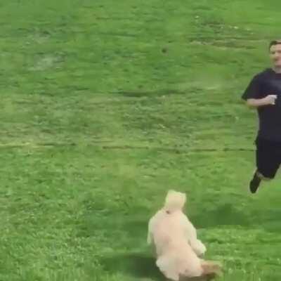 Downhill Woof Crayon...