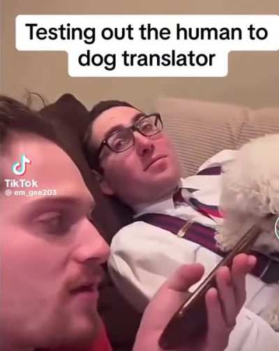 Human to Dog Translator leaves hurt feelings