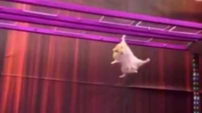 it should have been me (i was betting on this piece of shit)