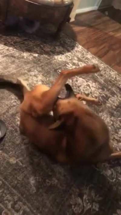 Wish I knew what was wrong with her