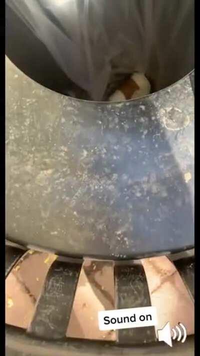 Fuck you karen! Mind your own business!