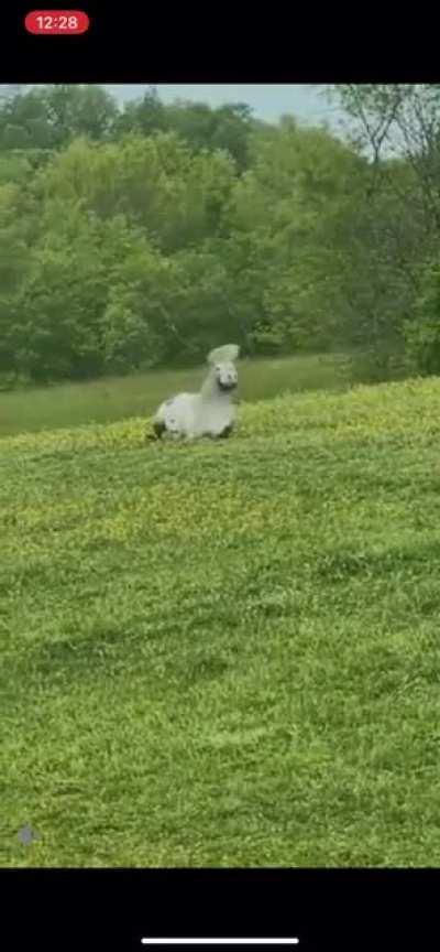 Do they owe us a living?