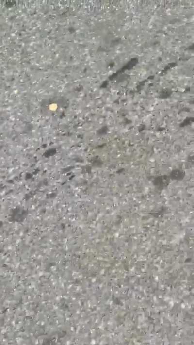 He hit the car on the highway and he tryna leave