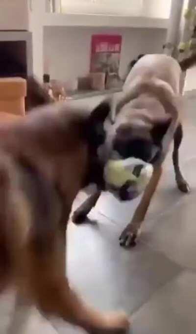 Vem chat KKona GuitarTime