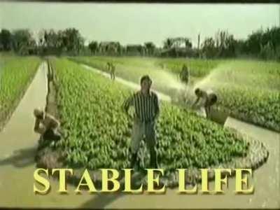 a Tail&acirc;ndia tem os ADs mais inspiradores do mundo