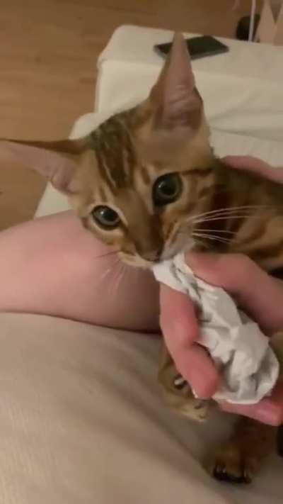 MY PAPER!!1!!!!!!! (Needs sound)