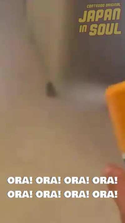 ORA! ORA! ORA! ORA! ORA! ORA! ORA! ORA! ORA!