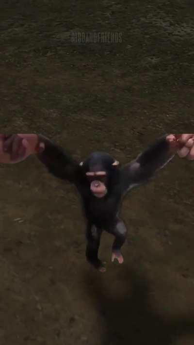 Found a new item today