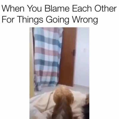 Chat room after a death is reported