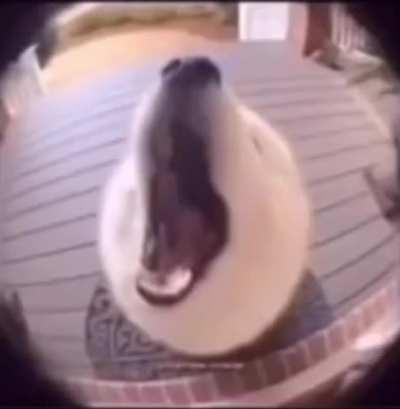 hehe i am working on the new video, i think you will like it :)