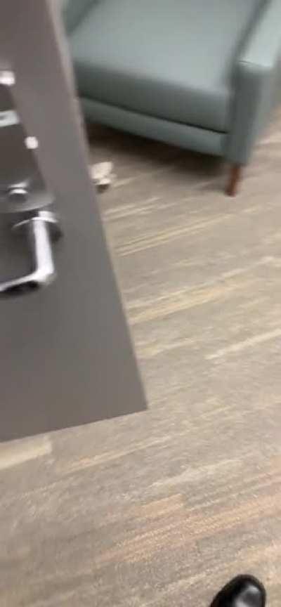 Everyone left early for thanksgiving, being alone at the office freaks me out