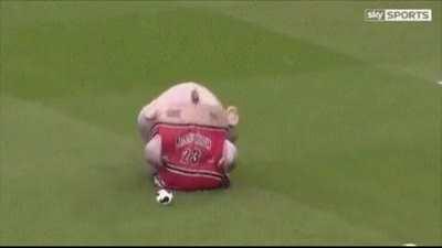 Mascot eats person for kicking a ball at them