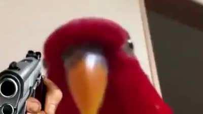 Expect this from me if you are building Riftmaker, i will have no mercy...