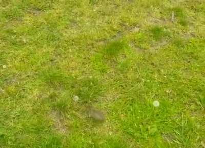 Where in the Hell did you come from!?!