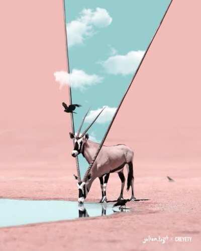 Source of Life - Artwork by me (Julien Tabet), Animation & SFX by Creyety