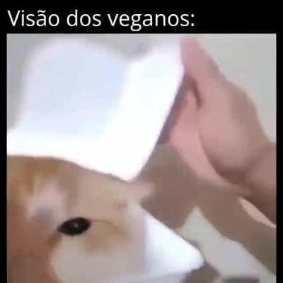 Agora tudo tá esplicado