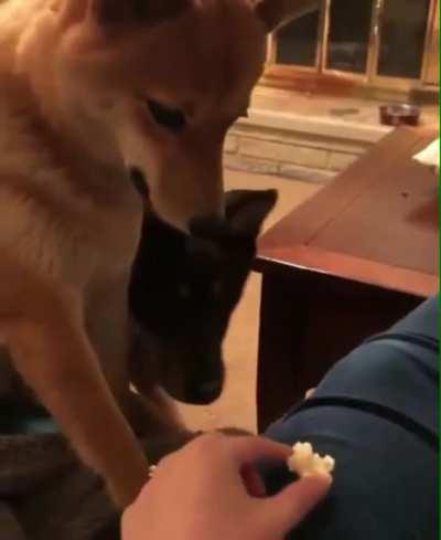 Smuckers feels attacked