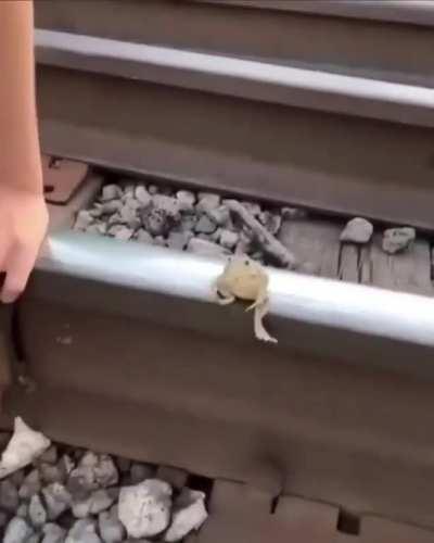 Bruna, está aprovado o Sapo Parceiro ???