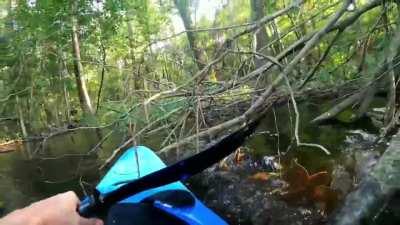 With kayaking in infested waters