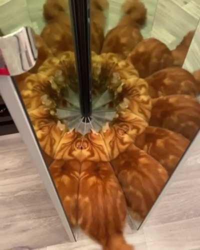 I'd like to enter that dimension too.