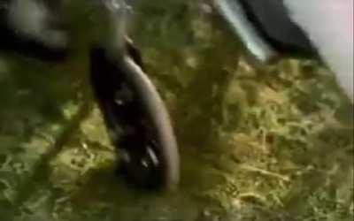 An interesting title