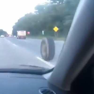 Haha That's My Lil' Travel Buddy! OH SHI-