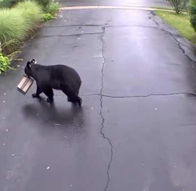 Your package has been devoured!